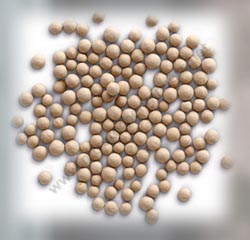 Molecular Sieve